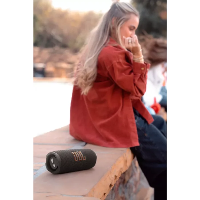 Enceinte portable JBL Flip 7 Noir – Image 14