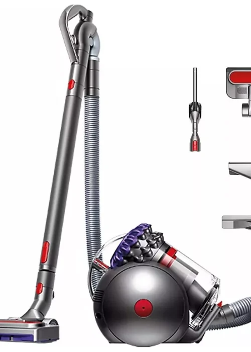 Aspirateur sans sac DYSON Big Ball Parquet 2