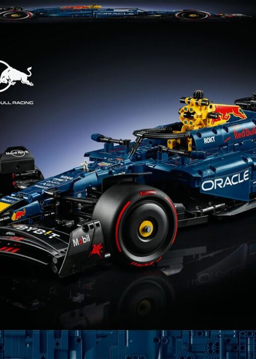 LEGO® Technic 42206 F1® Oracle Red Bull Racing RB20